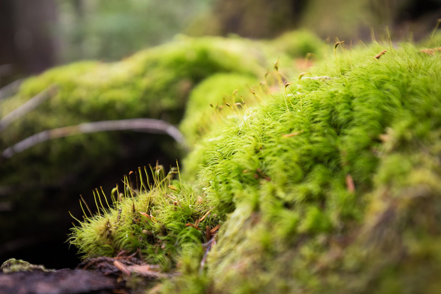 Reweaving Our Relationship to Land